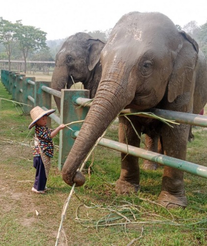 ทริปเยี่ยมชมเขตรักษาพันธุ์สัตว์ป่าคันตะครึ่งวัน