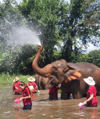 โปรแกรมเต็มวัน ณ เขตรักษาพันธุ์ช้างรันทอง