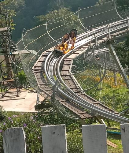 City Chiangmai 50 KM(8 Hr.)