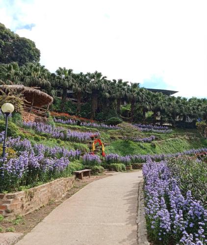 One day tour chiangmai