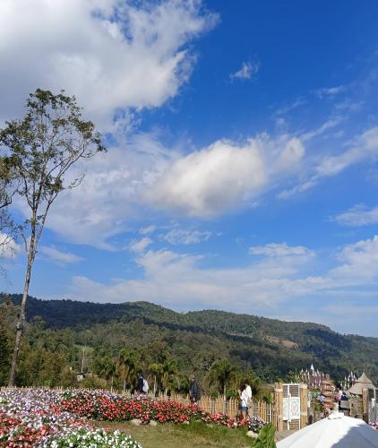 One day tour chiangmai